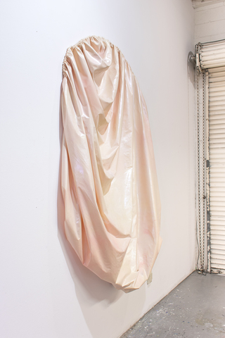 MY INTRUDER IS MY TREASURE, 2018, rubber, pigment, mother of pearl, rope, approx. 210x145x32 cm, Installation view: "Pia Mater", 18th Street Arts Center, Los Angeles, 2018